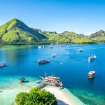 Sail and snorkel around the islands in Komodo National Park