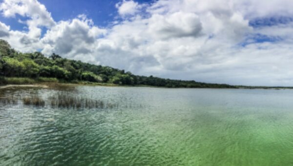 Visit to Punta Laguna