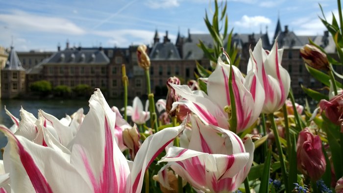 The Hague - Private guided walking tour
