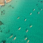 Take part in active adventures, such as kayaking in Byron Bay while looking for dolphins