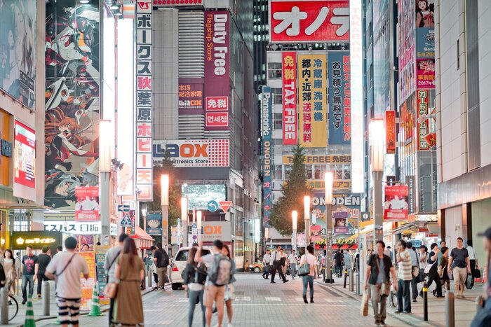 Anime, Manga, Game & Pop Culture Tour in Akihabara