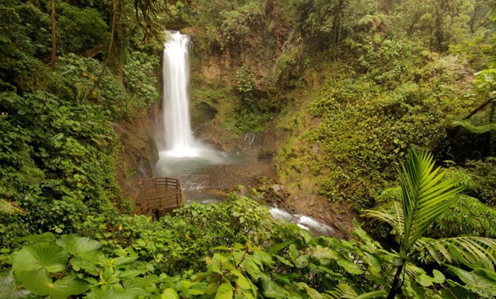 Privately Guided Tour at La Paz Waterfall Gardens