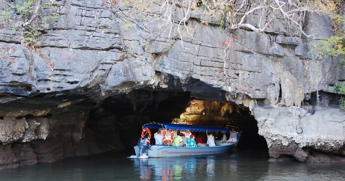 Mangrove Boat Cruise