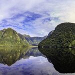 Take a silent cruise around the remote waters of Doubtful Sound