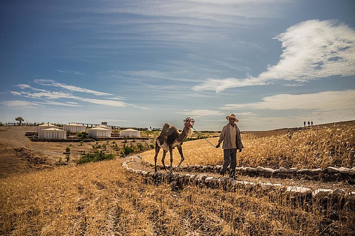 Imlil to Agafay Desert - Desert glamping & Camel ride experience