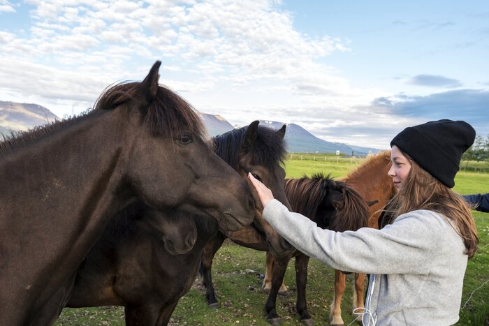 Teenage girl with Icelandic horse