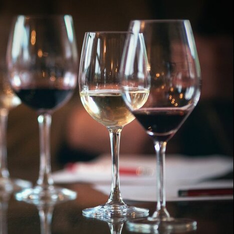 🍷 Wine & Olive Oil Tasting, Private Tour