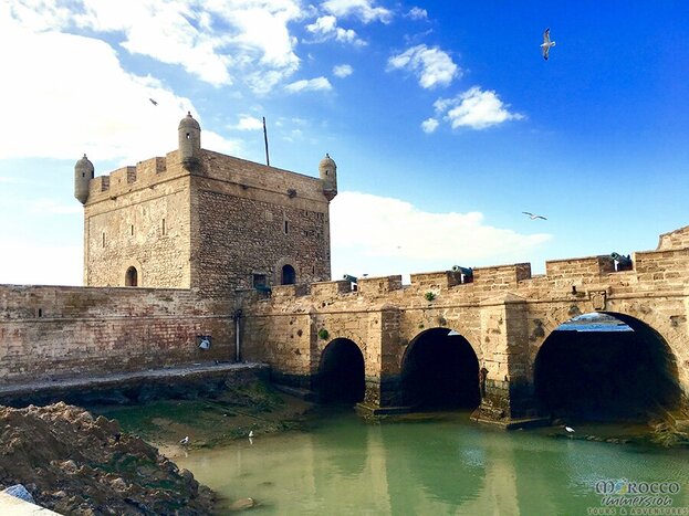 Day Excursion to Essaouira