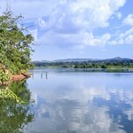 Seek out local wildlife as you cruise down the Nile River, near Lake Victoria