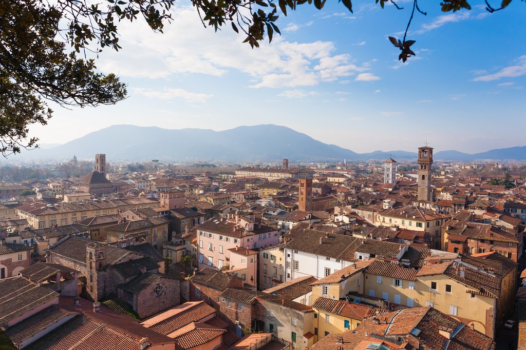 Lucca from Guinigi Tower