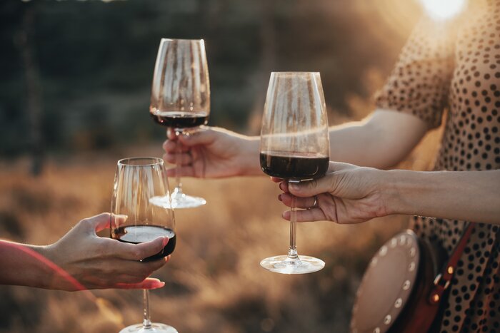 Discover biodynamic wine at a vineyard in Ronda, Spain