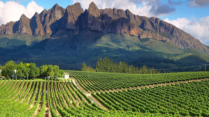 Full day Cape Winelands Tour	