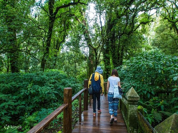 Chiang Mai - Doi Inthanon National Park - Chiang Mai (B)