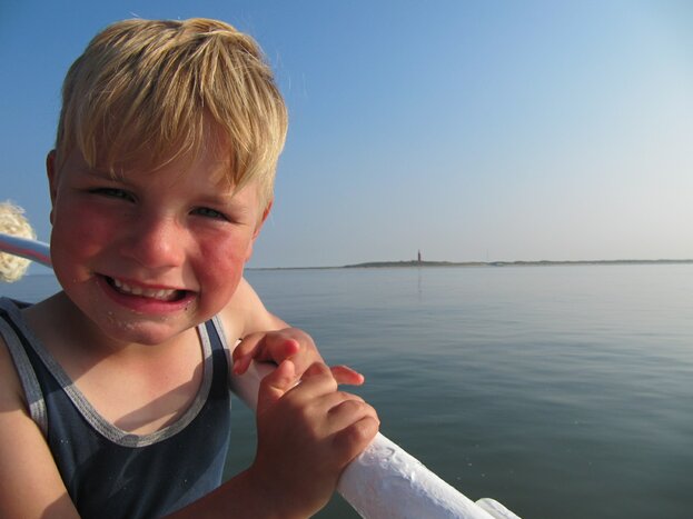 Texel - Seal boat tour Oudeschild