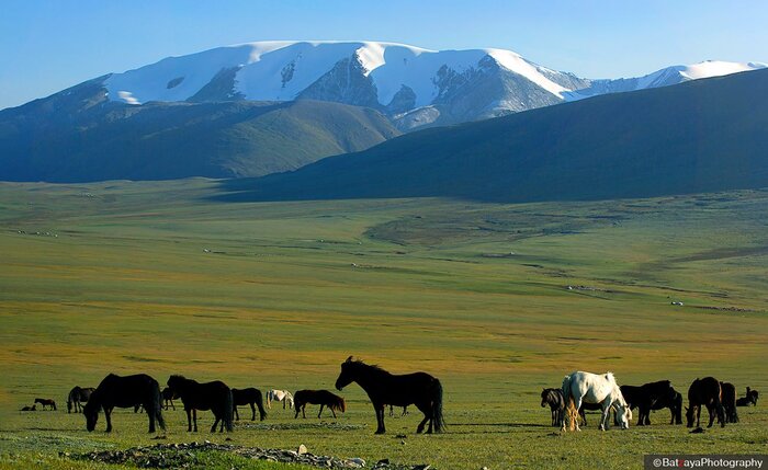 Mt. Tsambagarav, Khovd province