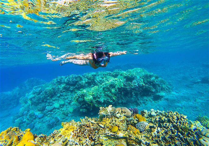 Premium Koh Tao & Koh Nangyuan Snorkeling by Joining Speedboat