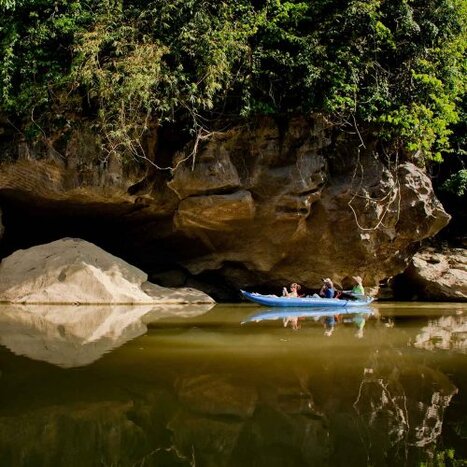 Our Jungle Resort - 4D3N Package (Tree House/Bungalow) - Day 1