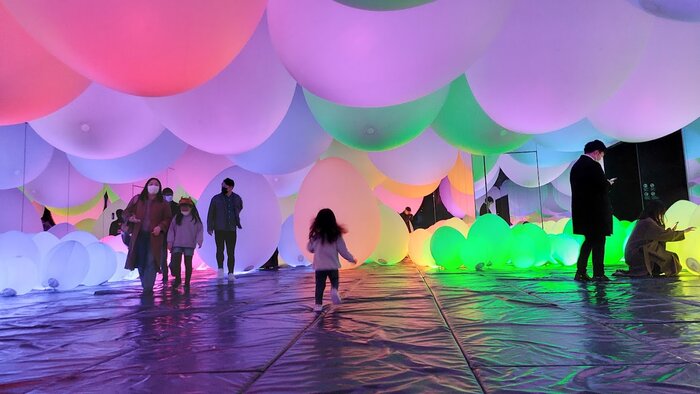 Digital TeamLab Borderless Museum