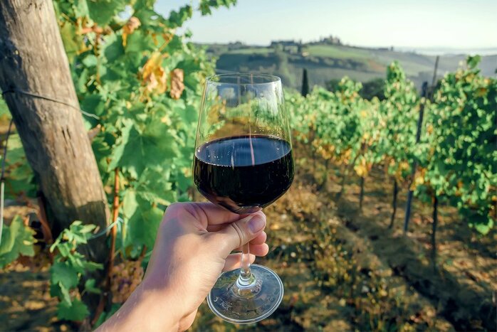 Private transfer to Tuscany via Bolgheri  for a wine tasting session