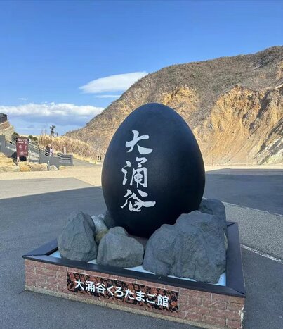Hakone Adventure: Exploring Mt. Owakudani and Majestic Landscapes  in Public Transportation