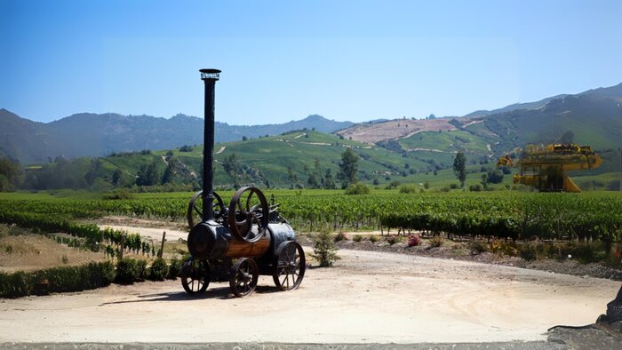 Casa silva Vine Yard
