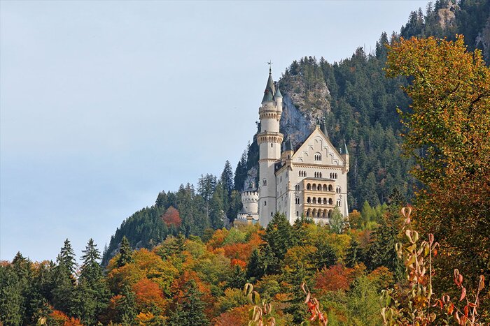 Private Tour to Neuschwanstein and Hohenschwangau Castle