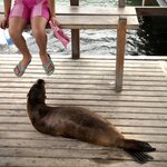 Meet the friendly locals when you arrive on Isla Santa Cruz