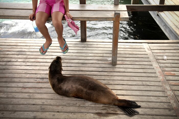Meet the friendly locals when you arrive on Isla Santa Cruz