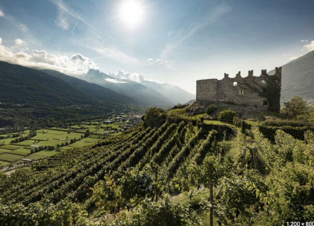 Valtellina Wine Tour