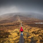 Take the family to the Wicklow Mountains on a holiday to the Emerald Isle