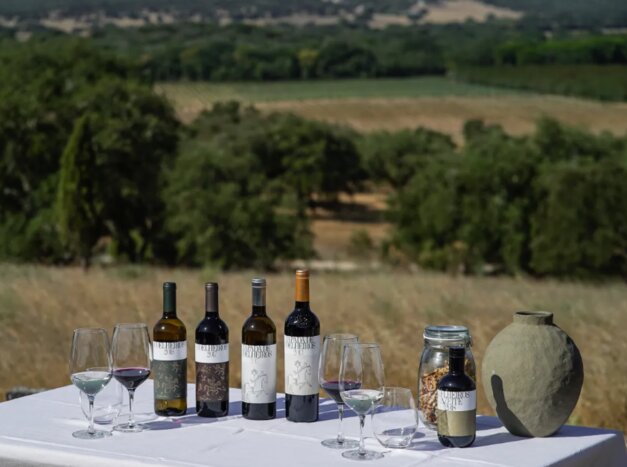 Cork Experience with Wine & Lunch