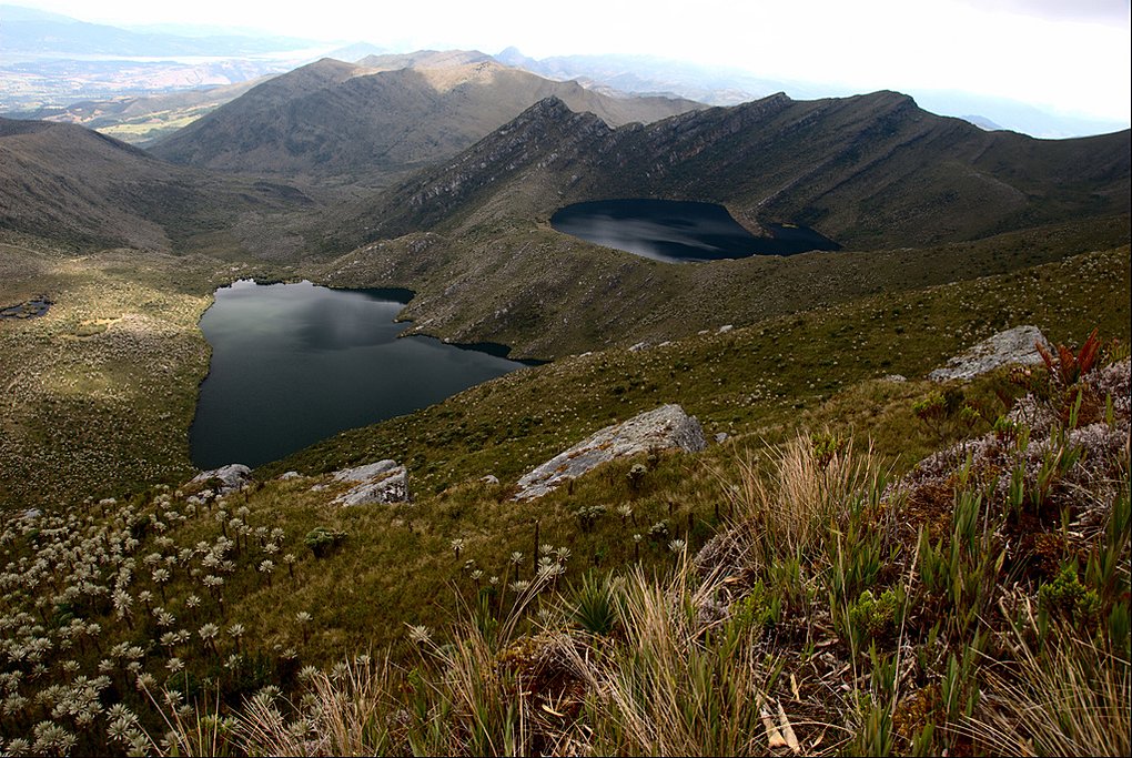 Chingaza's sacred lakes