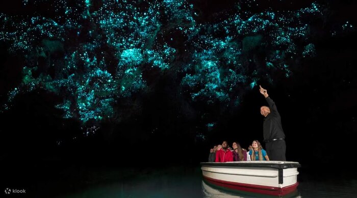 Waitomo Glowworm Caves + Ruakuri cave combo