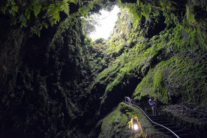 Terceira Cave Experience