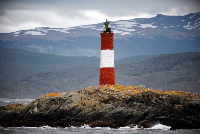 Walk with Penguins on Isla Martillo