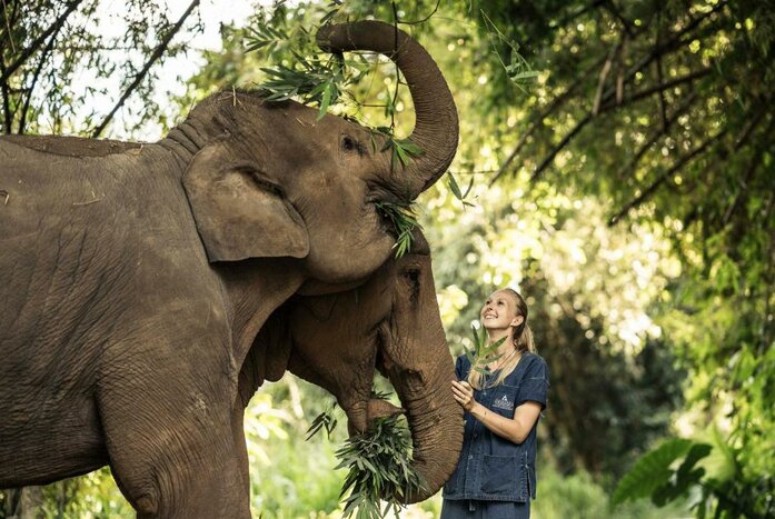 Anantara Golden Triangle - Day of Exploration and Relaxation