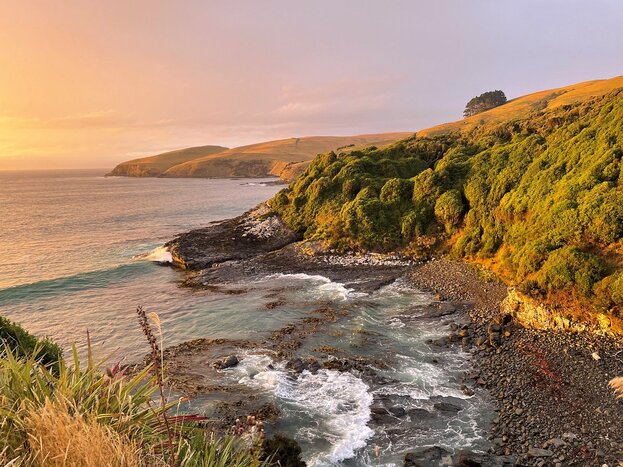 Sunrise Tour at Mohua Park