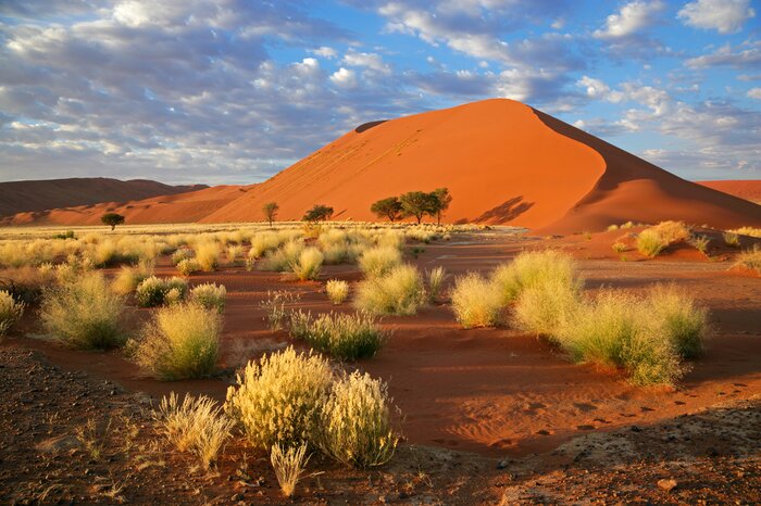 Discover the red dunes of Sossusvlei in the southern part of the Namib Desert, in the Namib-Naukluft National Park of Namibia