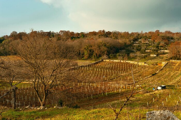 Farm Visit in Puglia: Cheese Making Laboratory In Itria Valley