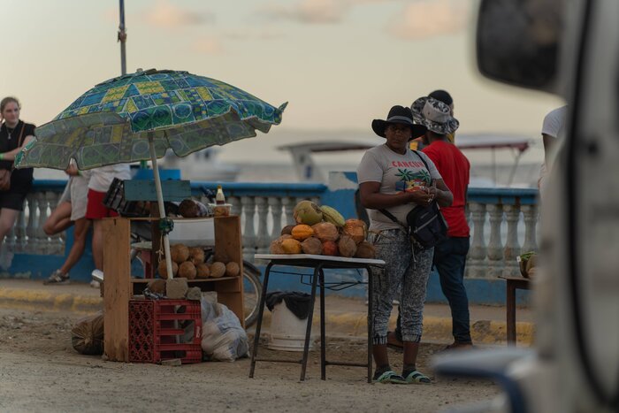 Whale Watching in Samana Bay
