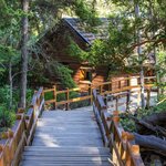 Bariloche's Isla Victoria and Arrayanes forest