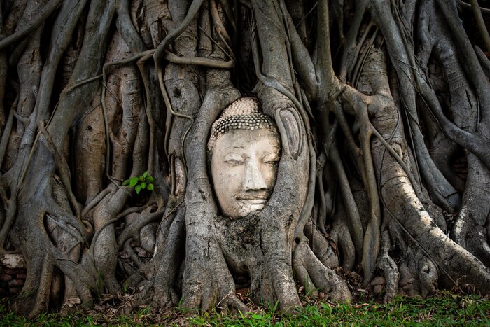 Snap an iconic pic of the Buddha head entwined in tree roots at Wat Mahathat, Ayutthaya