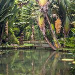 End your trip with a visit to Rio de Janeiro's Botanical Garden