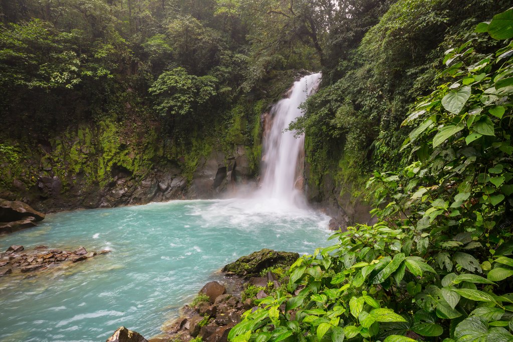 A jungle waterfall on the hiking trail