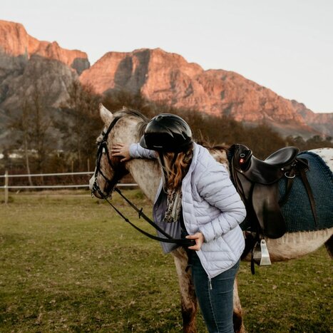 Horseback Riding in the Winelands
