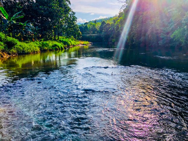 Enjoy your farm stay surroundings, including the Kiulu River