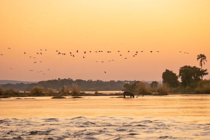 Sunrise Classic River Safari