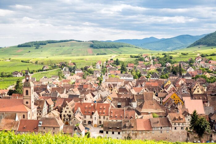 Alsace Vineyards Wine Tasting Tour from Strasbourg