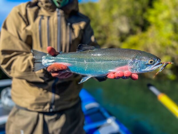 Fishing in Maullin River - Half-Day (October to May)