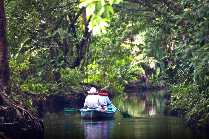Guided Exploration of Tortuguero National Park